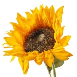 Gold Sunflower Stem By Ashland® -Flowers Michael Store 10679186 20