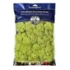 SuperMoss® Preserved Reindeer Moss, 8oz.