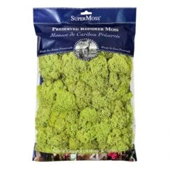SuperMoss® Preserved Reindeer Moss, 8oz.