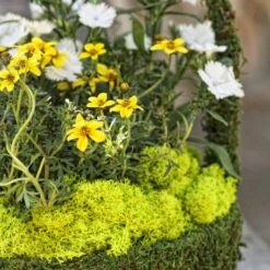 SuperMoss® Preserved Reindeer Moss, 8oz. -Flowers Michael Store 10701986 3