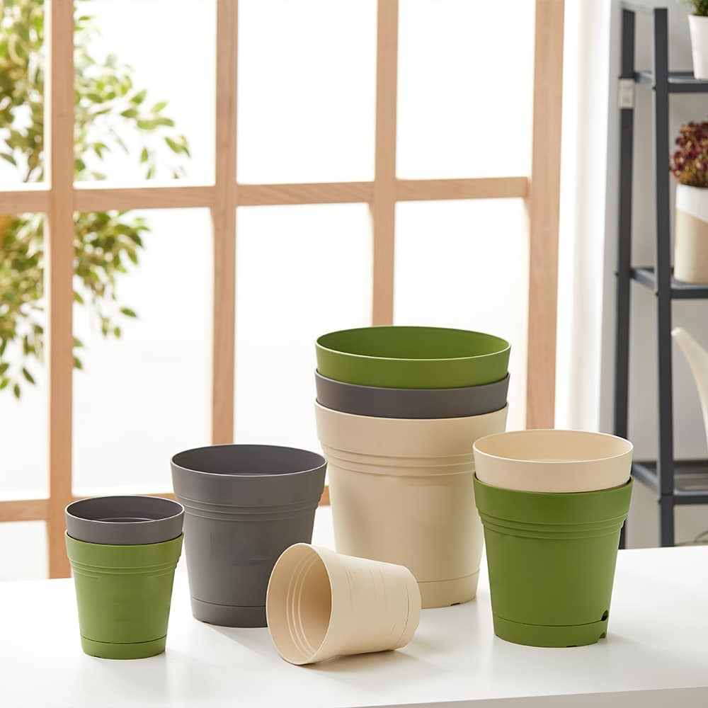 Flowers Michael Store -Flowers Michael Store Chau nhua trong cay 2 day PY dk 27.8 x cao 28cm