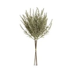 Sage Astilbe Bundle -Flowers Michael Store D250678S 1 1