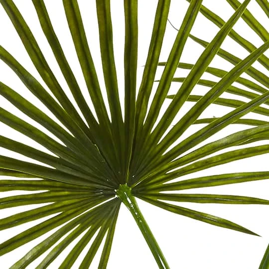 4ft. Green Fan Palm Arrangement In Glass Vase 5 4ft. Green Fan Palm Arrangement In Glass Vase - Image 3