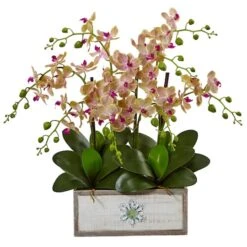 23" Cream & Pink Moth Orchid Arrangement In Decorative Wood Planter