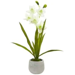 22" White Cymbidium Orchid Arrangement In Cement Pot -Flowers Michael Store D251468S 1 1