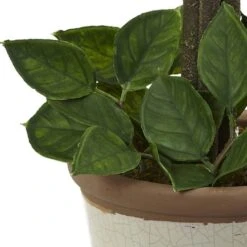 18" Potted Lemon Ball Topiary Arrangement -Flowers Michael Store D251493S 13