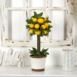 18" Potted Lemon Ball Topiary Arrangement -Flowers Michael Store D251493S 14