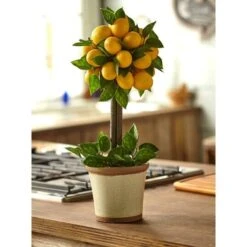 18" Potted Lemon Ball Topiary Arrangement -Flowers Michael Store D251493S 16