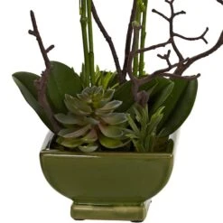 21" Orchid & Succulent Floral Arrangement In Ceramic Pot -Flowers Michael Store D251497S 13