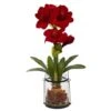 24" Red Amaryllis In Glass Vase -Flowers Michael Store D251499S 11
