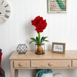 24" Red Amaryllis In Glass Vase -Flowers Michael Store D251499S 16