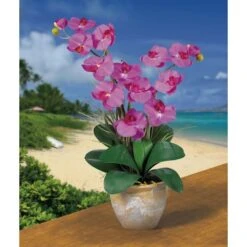 25" Double Phalaenopsis Silk Orchid Flower Arrangement In Ceramic Pot -Flowers Michael Store D251507S 2