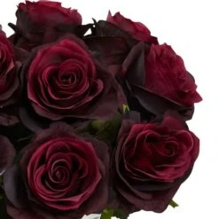 11" Red Rose Arrangement In Vase -Flowers Michael Store D251525S 2