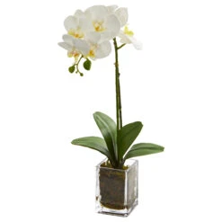 24" White Orchid Arrangement In Clear Glass Vase
