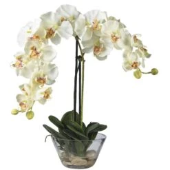 18" White Orchid Arrangement In Glass Vase -Flowers Michael Store D251614S 11 1