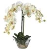 18" White Orchid Arrangement In Glass Vase 1 18" White Orchid Arrangement In Glass Vase -Flowers Michael Store D251614S 11