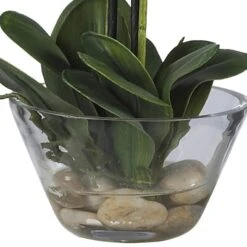 18" White Orchid Arrangement In Glass Vase -Flowers Michael Store D251614S 13