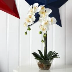 18" White Orchid Arrangement In Glass Vase -Flowers Michael Store D251614S 14