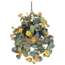 22" Golden Nasturtium Hanging Basket -Flowers Michael Store D251630S 11 1