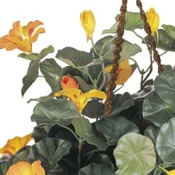 22" Golden Nasturtium Hanging Basket -Flowers Michael Store D251630S 13