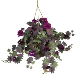 24" Purple Morning Glory Hanging Basket