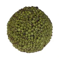 4" Green Berry Balls, 6ct. -Flowers Michael Store D251636S 12