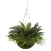 13" Cycas Plant In Mossy Hanging Basket -Flowers Michael Store D251642S 11