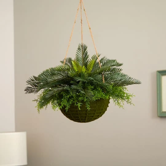 13" Cycas Plant In Mossy Hanging Basket 5 13" Cycas Plant In Mossy Hanging Basket - Image 3