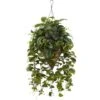 3ft. Mixed Green Vines In Cone Hanging Basket -Flowers Michael Store D251643S 11