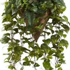 3ft. Mixed Green Vines In Cone Hanging Basket -Flowers Michael Store D251643S 13