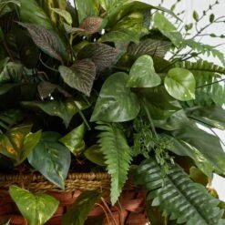 3ft. Mixed Green Vines In Cone Hanging Basket -Flowers Michael Store D251643S 16