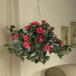24" Red Hibiscus In Hanging Basket 7 24" Red Hibiscus In Hanging Basket -Flowers Michael Store D251661S 2
