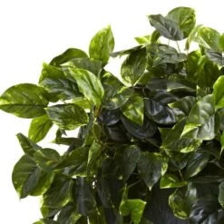 2.5ft. Hanging Pothos With Slate Planter -Flowers Michael Store D251663S 12