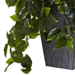 2.5ft. Hanging Pothos With Slate Planter -Flowers Michael Store D251663S 13