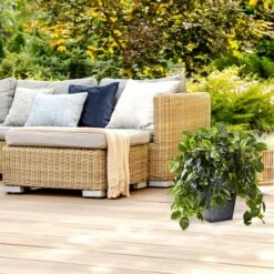 2.5ft. Hanging Pothos With Slate Planter -Flowers Michael Store D251663S 14