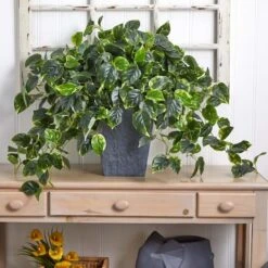 2.5ft. Hanging Pothos With Slate Planter -Flowers Michael Store D251663S 15