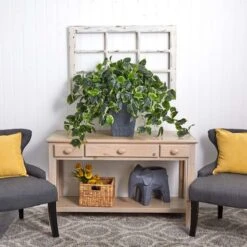 2.5ft. Hanging Pothos With Slate Planter -Flowers Michael Store D251663S 17