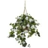 28" Bougainvillea In Hanging Basket 1 28" Bougainvillea In Hanging Basket -Flowers Michael Store D251664S 11