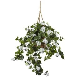 28" Bougainvillea In Hanging Basket