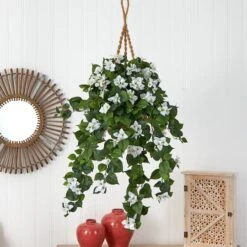 28" Bougainvillea In Hanging Basket -Flowers Michael Store D251664S 12