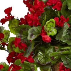 2.5ft. Geranium Hanging Basket -Flowers Michael Store D251675S 12
