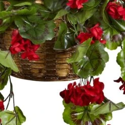 2.5ft. Geranium Hanging Basket -Flowers Michael Store D251675S 13