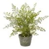 13" Maiden Hair Artificial Plant In Decorative Planter -Flowers Michael Store D251681S 11
