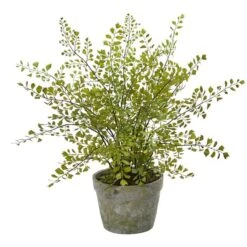 13" Maiden Hair Artificial Plant In Decorative Planter
