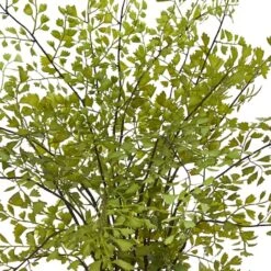 13" Maiden Hair Artificial Plant In Decorative Planter -Flowers Michael Store D251681S 12