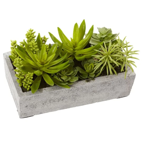 13" Succulent Garden With Concrete Planter 4 13" Succulent Garden With Concrete Planter - Image 2
