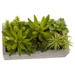 13" Succulent Garden With Concrete Planter 10 13" Succulent Garden With Concrete Planter -Flowers Michael Store D251700S 12