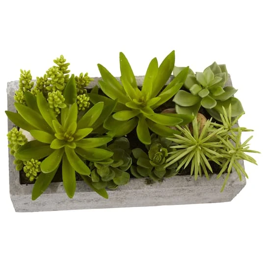 13" Succulent Garden With Concrete Planter 5 13" Succulent Garden With Concrete Planter - Image 3