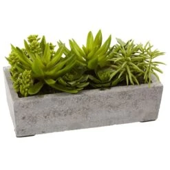 13" Succulent Garden With Concrete Planter 11 13" Succulent Garden With Concrete Planter -Flowers Michael Store D251700S 13
