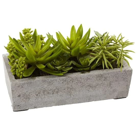 13" Succulent Garden With Concrete Planter 6 13" Succulent Garden With Concrete Planter - Image 4